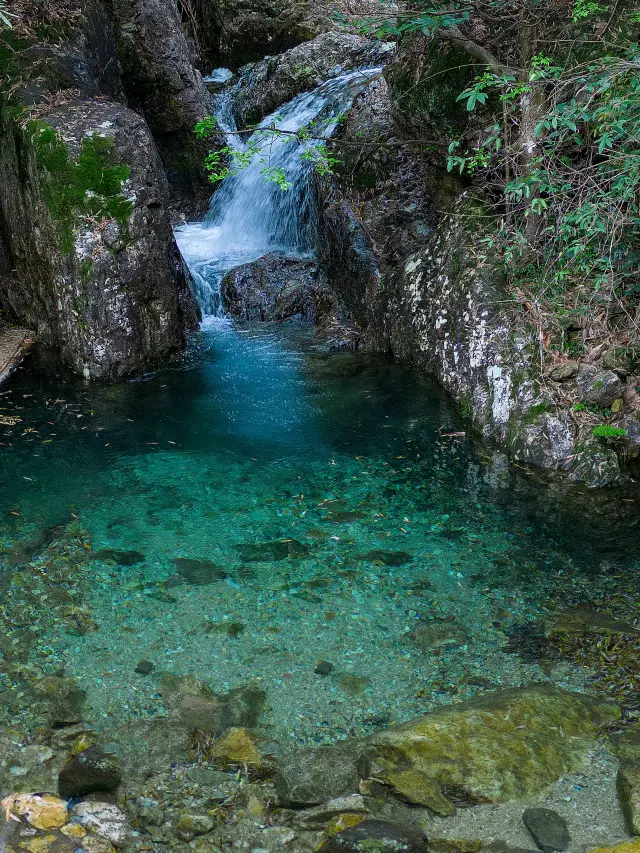 Shaoxing's "Xianbenna" is a must-visit for a summer water play spot!