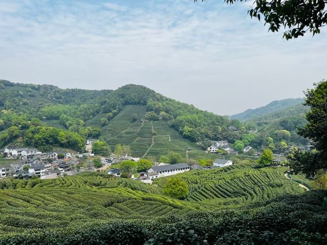 十里琅珰實拍上春山，龍井問茶