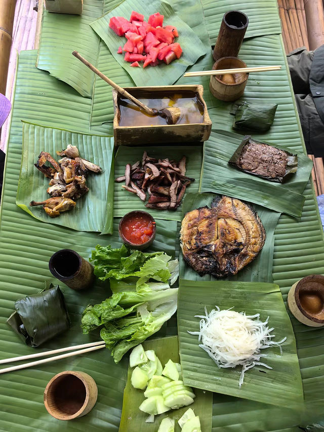 西雙版納 | 重生之我在基諾山雨林吃螞蟻！