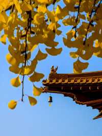 江西九江的庐山，可以不用爬山，但東林寺則是必遊之地