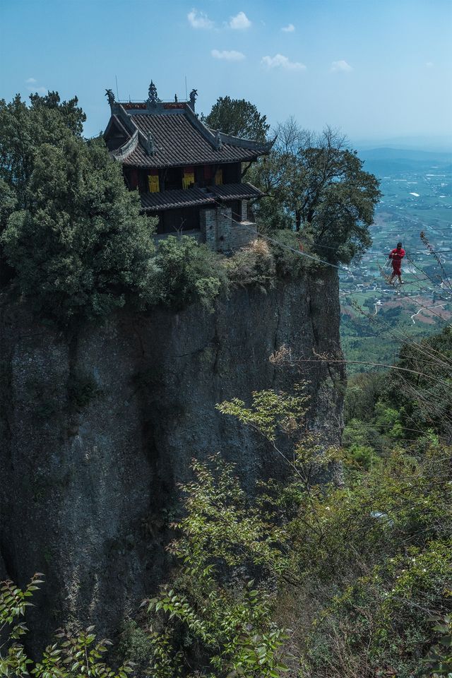 隨著四月的花瓣雨
