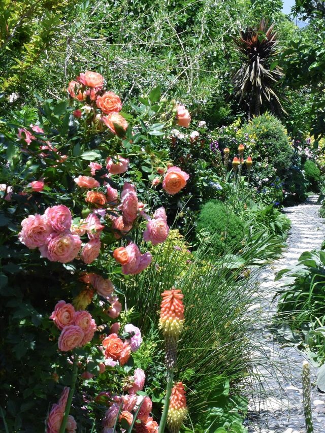 現實版莫奈的花園原來藏在大理|||
