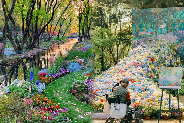 現實版莫奈花園‖上海共青森林公園 現實版莫奈花園‖上海共青森林公園