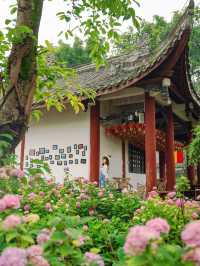 成都周邊開滿無盡夏的古寺，太美了！