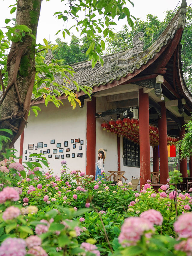 成都周邊開滿無盡夏的古寺，太美了！