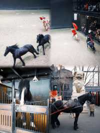 想親眼見證中國最大的汗血寶馬基地嗎？烏魯木齊野馬古生態園