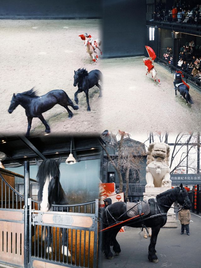 想親眼見證中國最大的汗血寶馬基地嗎？烏魯木齊野馬古生態園