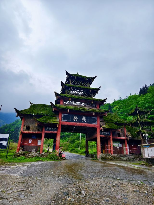 都江堰市     龍池國家森林公園