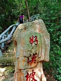 大口國家森林公園奇遇記
