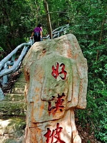 大口國家森林公園奇遇記