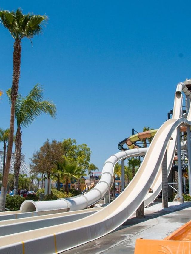🌟 LA's Top Family-Friendly Attractions Unveiled 🎢🐠🔭🦁