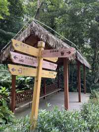 原來海南也有避暑陰涼的地方！！在百花嶺