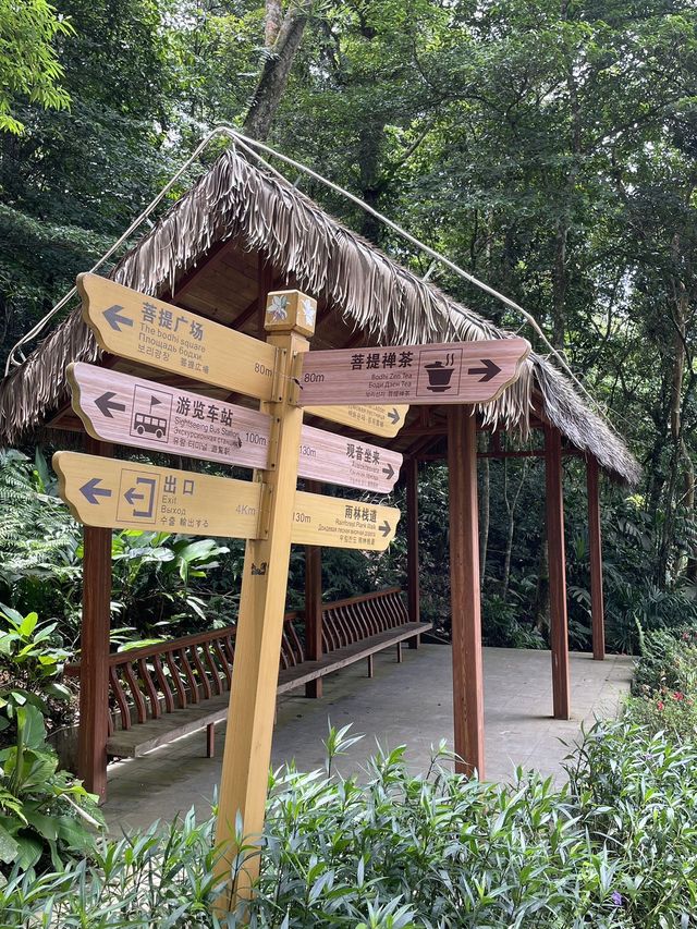原來海南也有避暑陰涼的地方！！在百花嶺