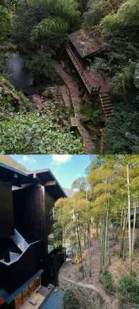 剛從莫干山回來又讓我住進了人生民宿…