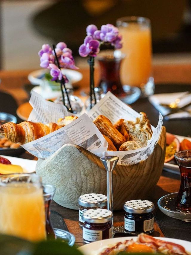 🏔️ Bursa's Best Beds: Swissotel Uludag's Cozy Retreat 🌟