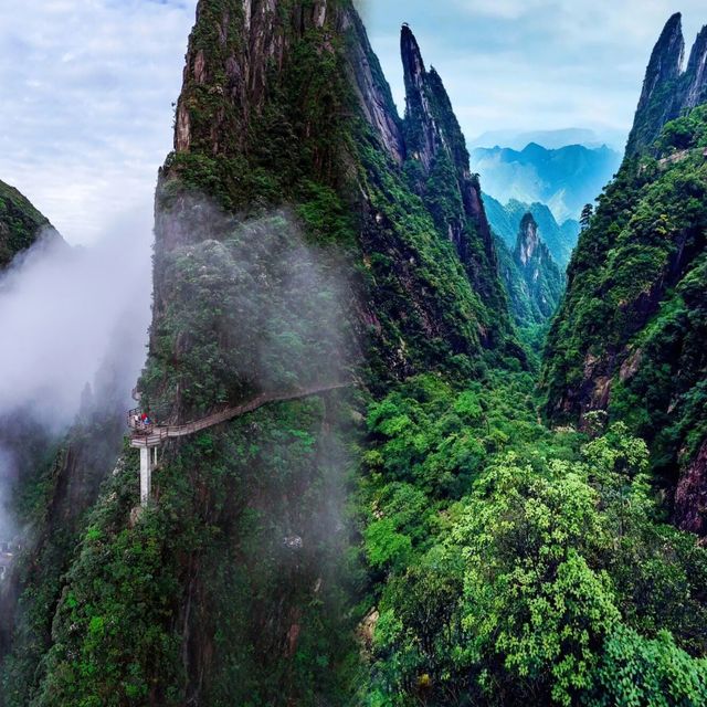 這座山不用爬就可以看美景啊