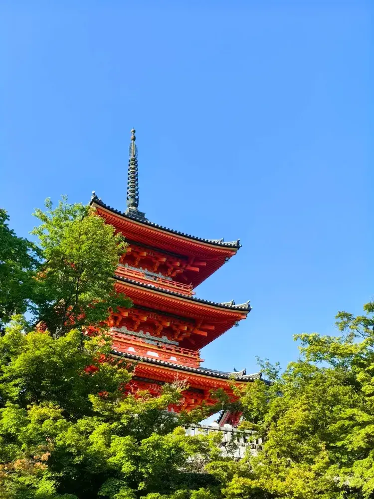 清水寺交通+門票+周邊遊覽超全攻略。清水寺旅遊攻略