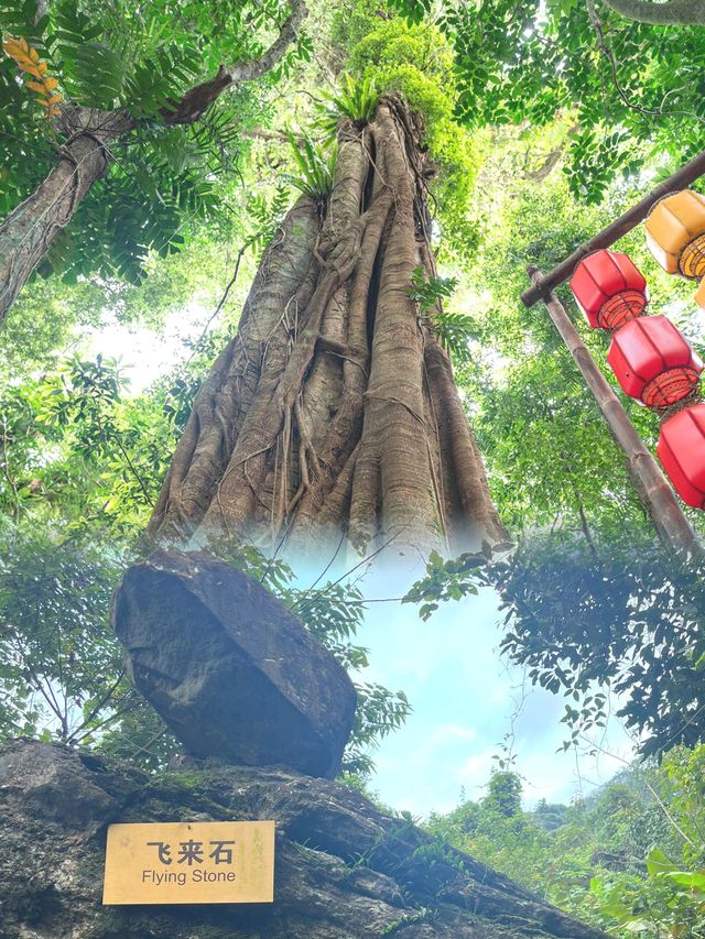 炎炎夏日為我們帶來無盡的舒適與愜意
