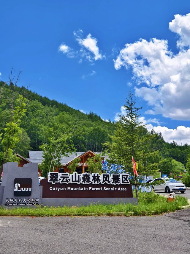 20°的避暑山野油畫般的高山草甸