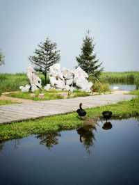 扎龍生態旅遊區‖丹頂鶴棲息濕地