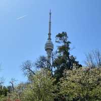 《武漢龜山電視塔：城市之巔的視覺盛宴》