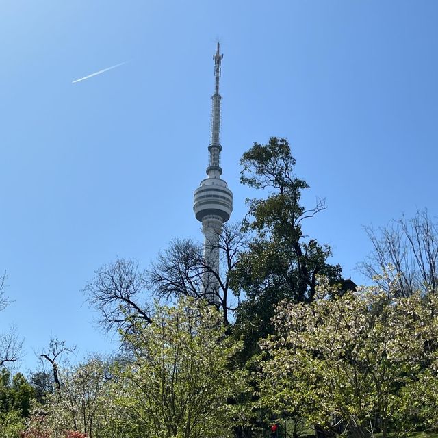 《武漢龜山電視塔：城市之巔的視覺盛宴》
