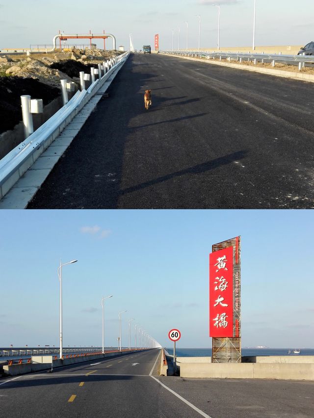 以婚宴的名義開啟如東海鮮之旅—掘港鎮旅遊攻略