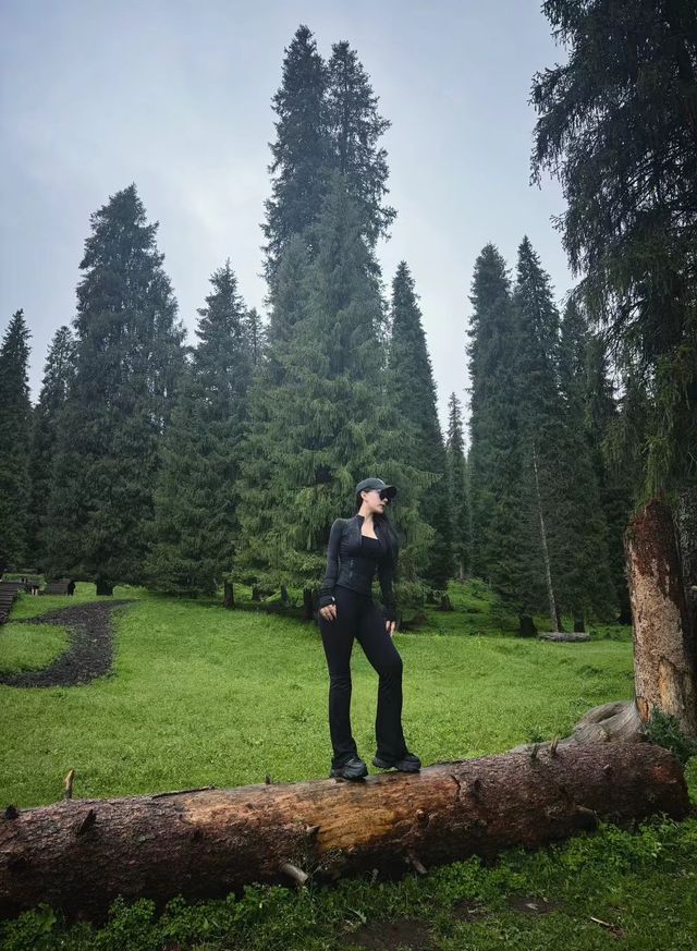 剛從庫爾德寧自駕回來，真的崩潰