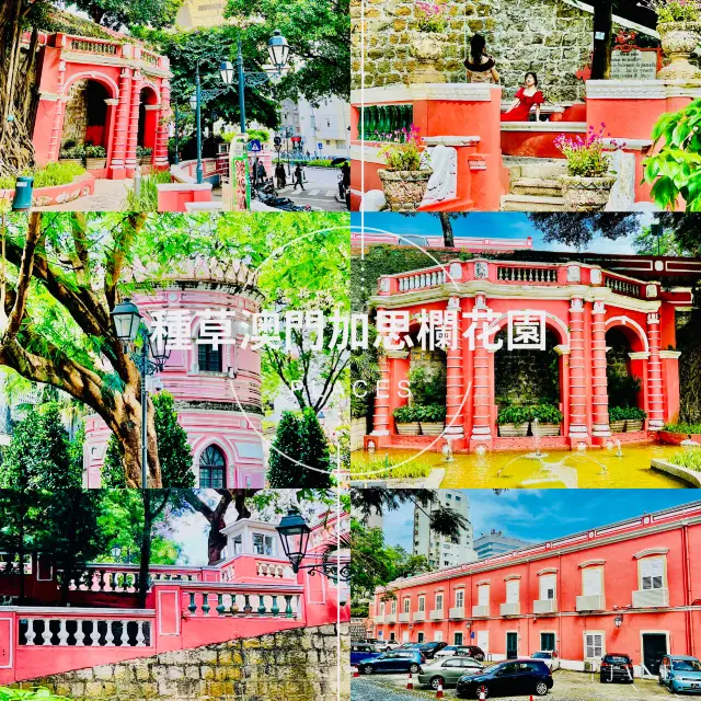 種草澳門粉紅色公園😍加思欄花園