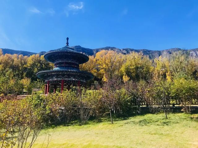 探秘汾河，美景如畫等你來！嘿，朋友們！最近我去了趟汾河，
