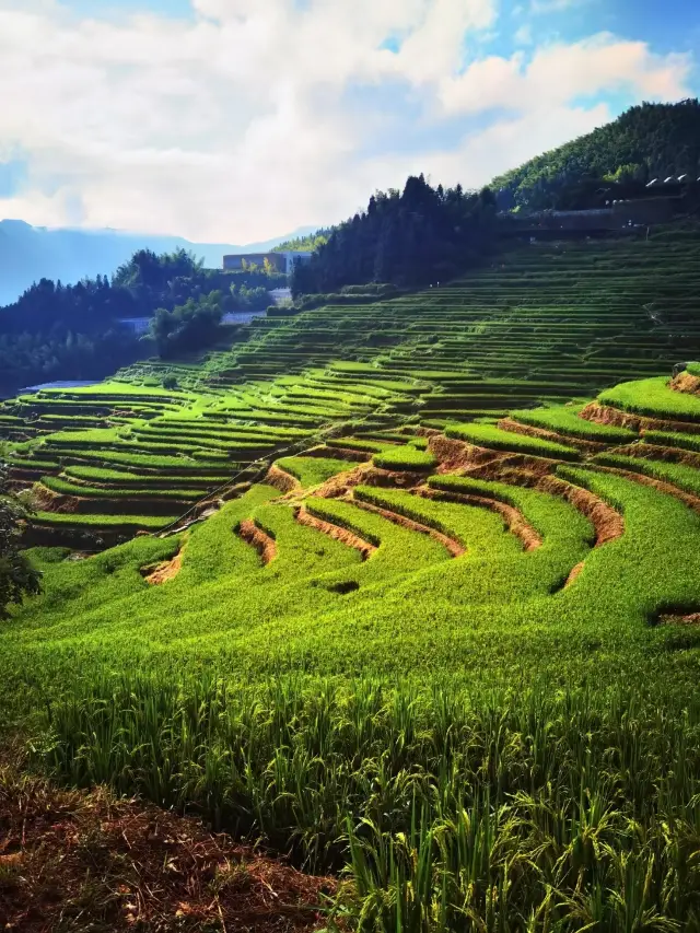 Yunhe Terraces