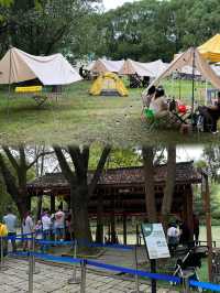 蘇州上海周邊遊！同里國家濕地公園！周末好去處！附攻略。