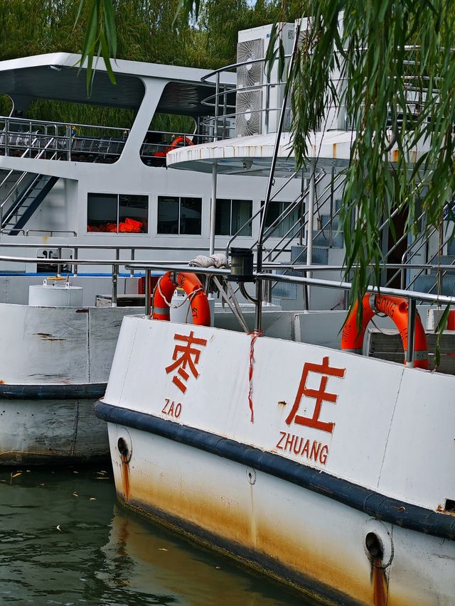 微山湖紅荷濕地，絕美拍照聖地。