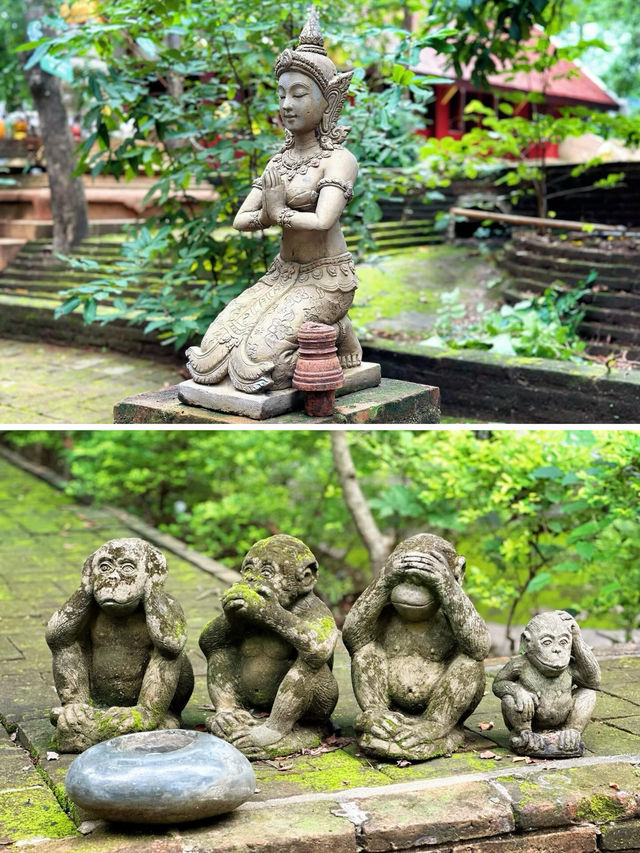 清邁烏蒙寺附近這家新開的立鼎世酒店～周圍可以逛的地方也太多了