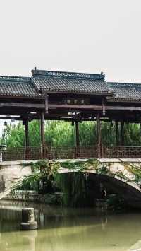 梅花洲怎麼變成綠野仙蹤了。