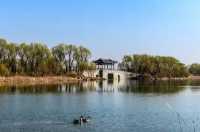長春北湖濕地公園 -- 國家4A級旅遊景區。
