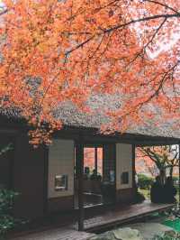 佐贺九年庵与大兴善寺：历史与自然的静谧对话。