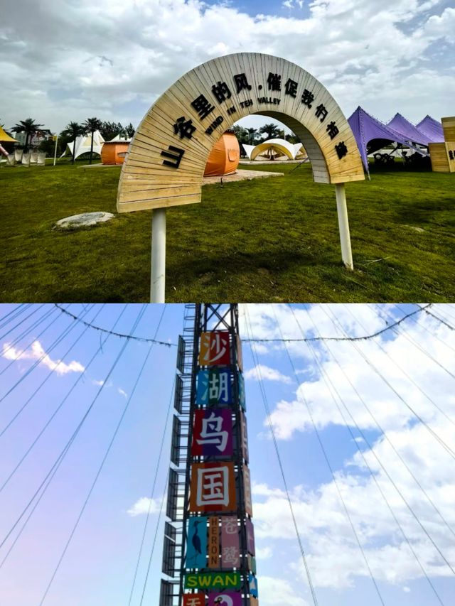 沙湖，一半沙漠，一半湖水。