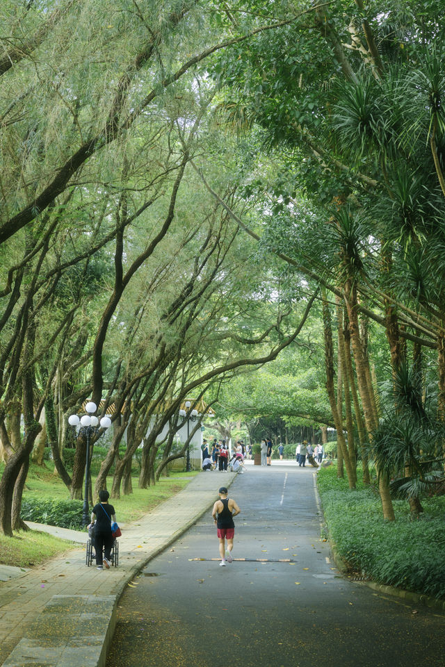 總有一次在公園相遇吧，我怕我會愛上這裡。