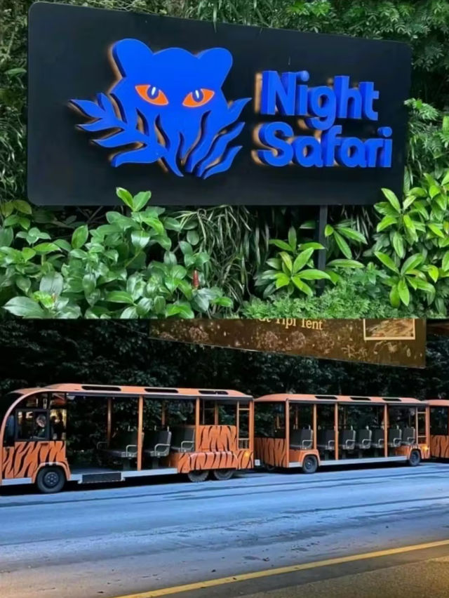 Singapore's Night Safari is Wonderful 🇸🇬