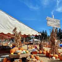 Spooky Halloween Attractions In the Haunted house