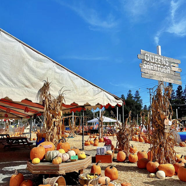 Spooky Halloween Attractions In the Haunted house