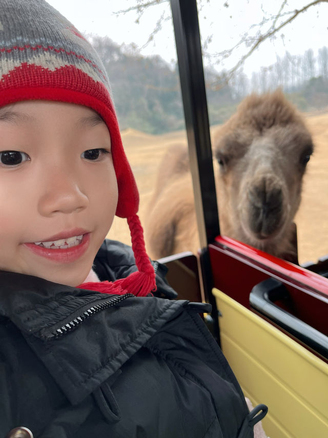 富陽｜看動物、玩樂園、觀演出、坐火車，一票全享。