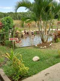 薩貝托泥漿溫泉，專屬你的自然 SPA 天堂。