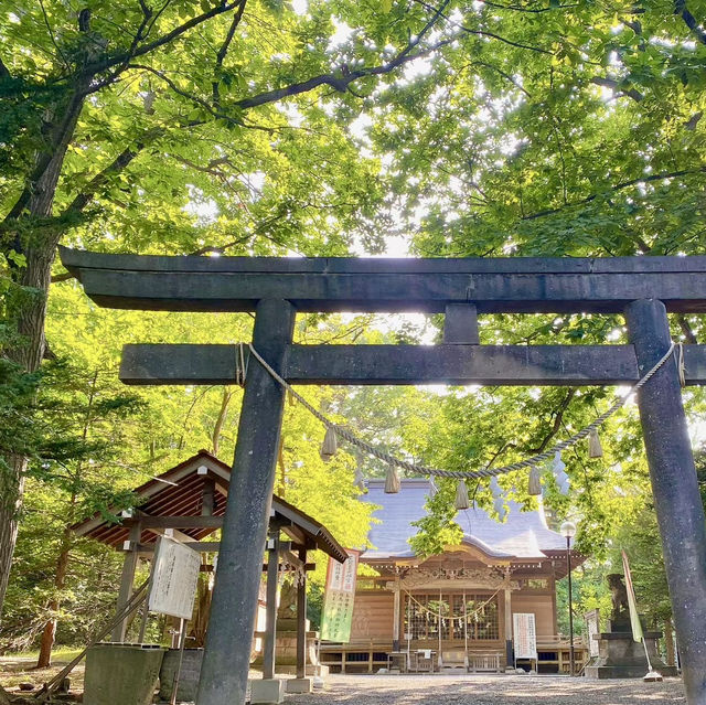 Tenjinyama Ryokuchi Park Japanese garden.