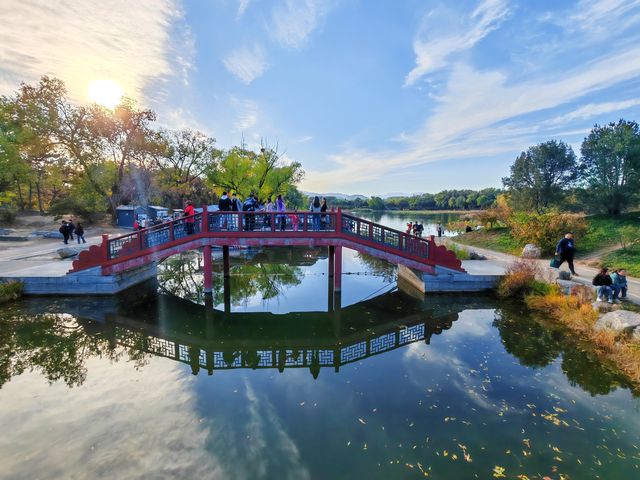 多彩京秋——圓明園獅子林。