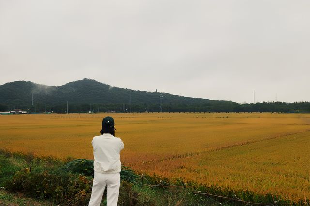 在松江天馬山下，於稻田中尋覓江南煙雨。