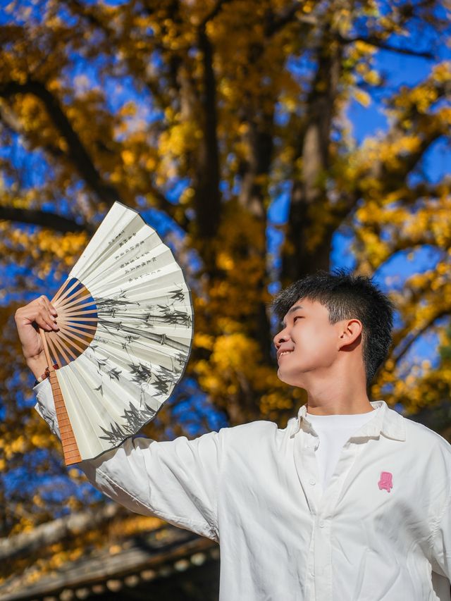 北京秋天任何人錯過這裡的銀杏都會遺憾。