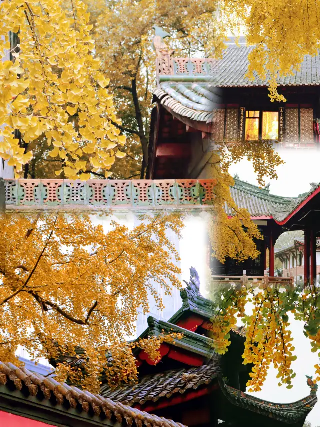 Three Ancient Temples to See Ginkgo Trees in Chengdu