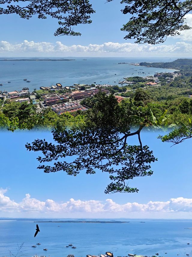 山打根海龟島，與生命的奇蹟相遇。